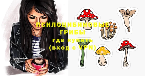 гашиш Новокубанск