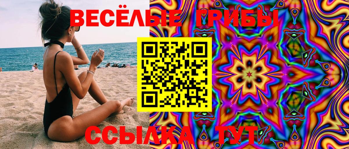 Псилоцибиновые грибы мицелий  Великий Новгород 